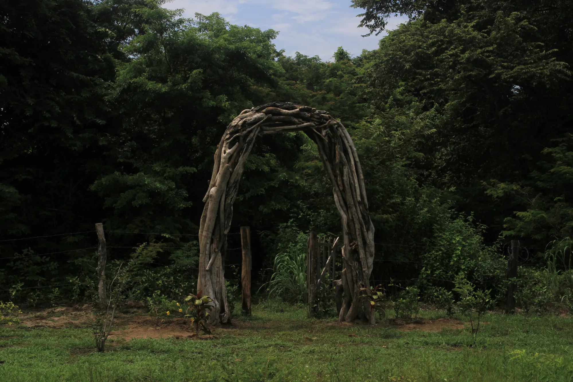 Portal de madera de mar en un claro del bosque, Playa Grande