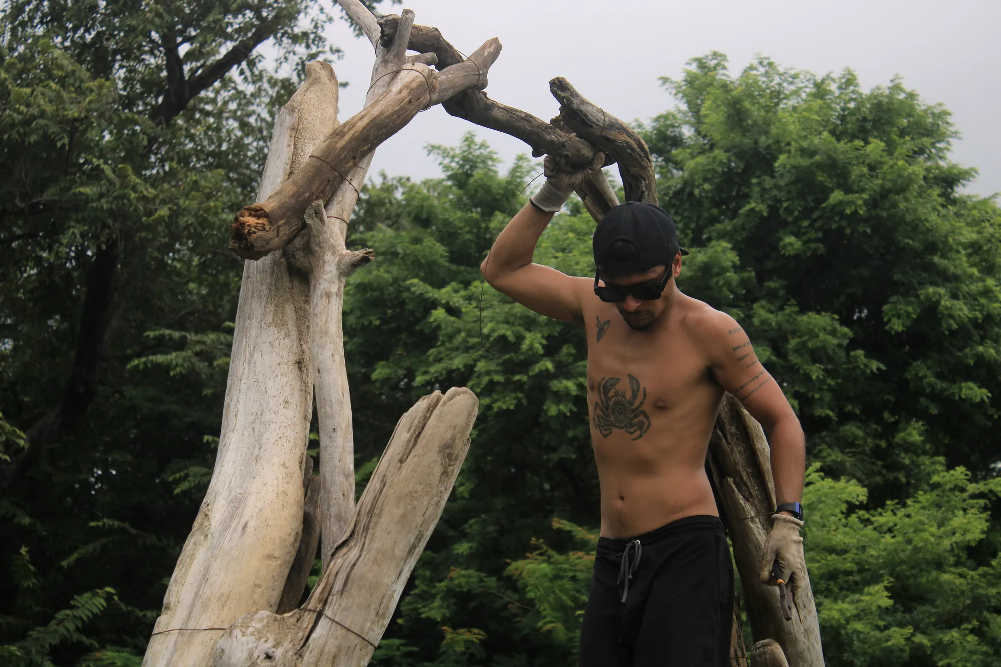 Santiago Imberti uniendo ramas en lo alto del portal del bosque
