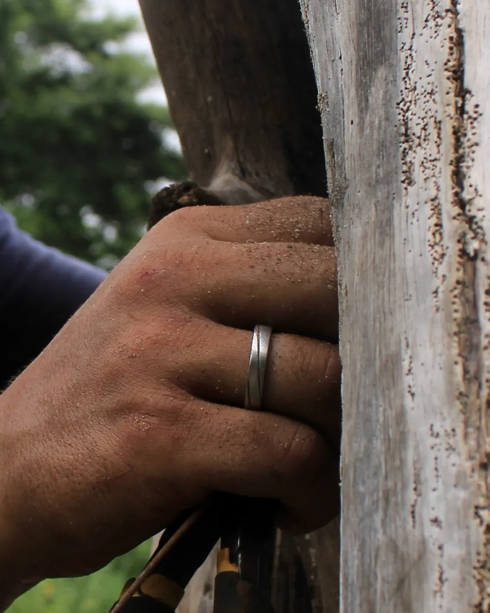 Mano de Santiago Imberti sobre un tronco de madera de mar