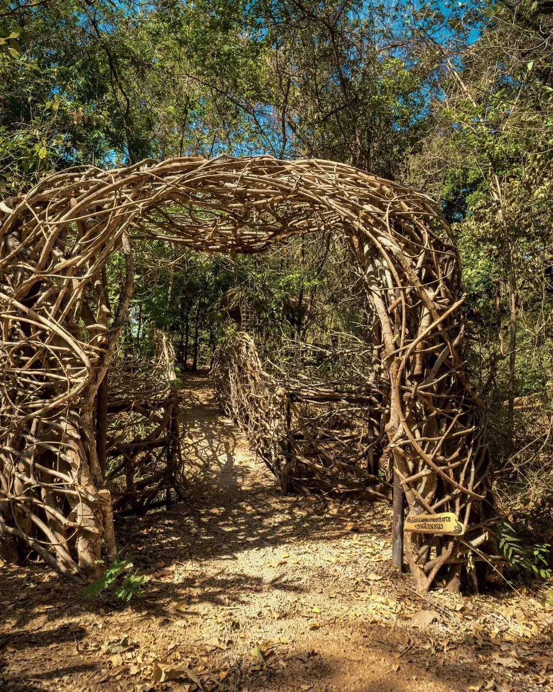 Arco de ramas tejidas de The Nest en el bosque seco de Dreamsea