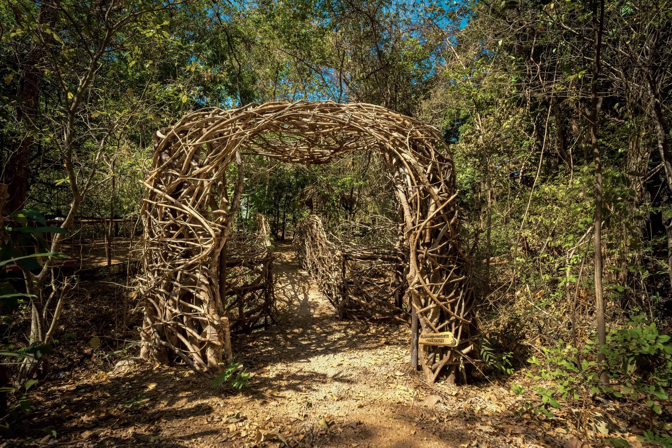 The Nest, estructura de ramas tejidas en el bosque de Dreamsea