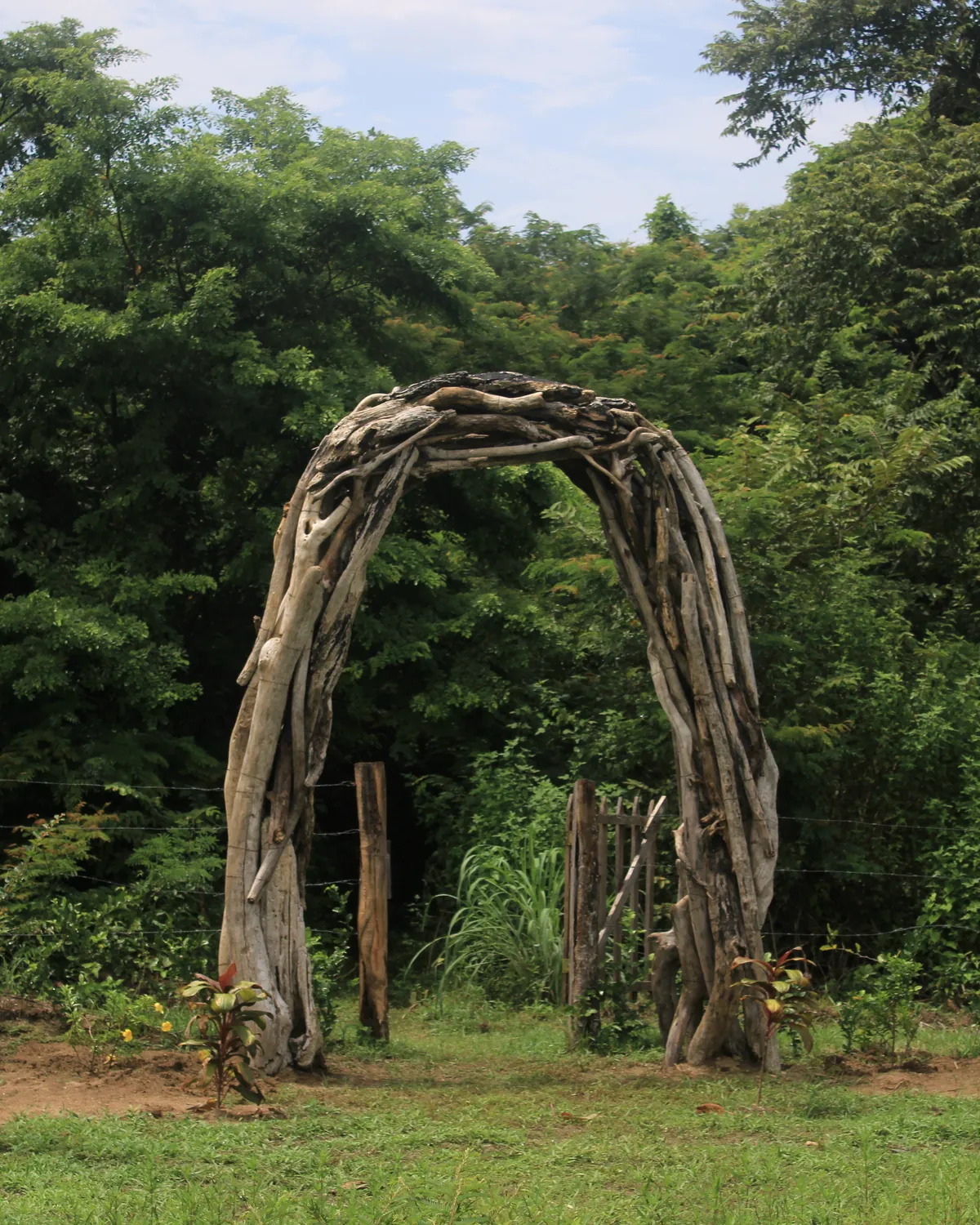 Portal de madera de mar en el bosque tropical