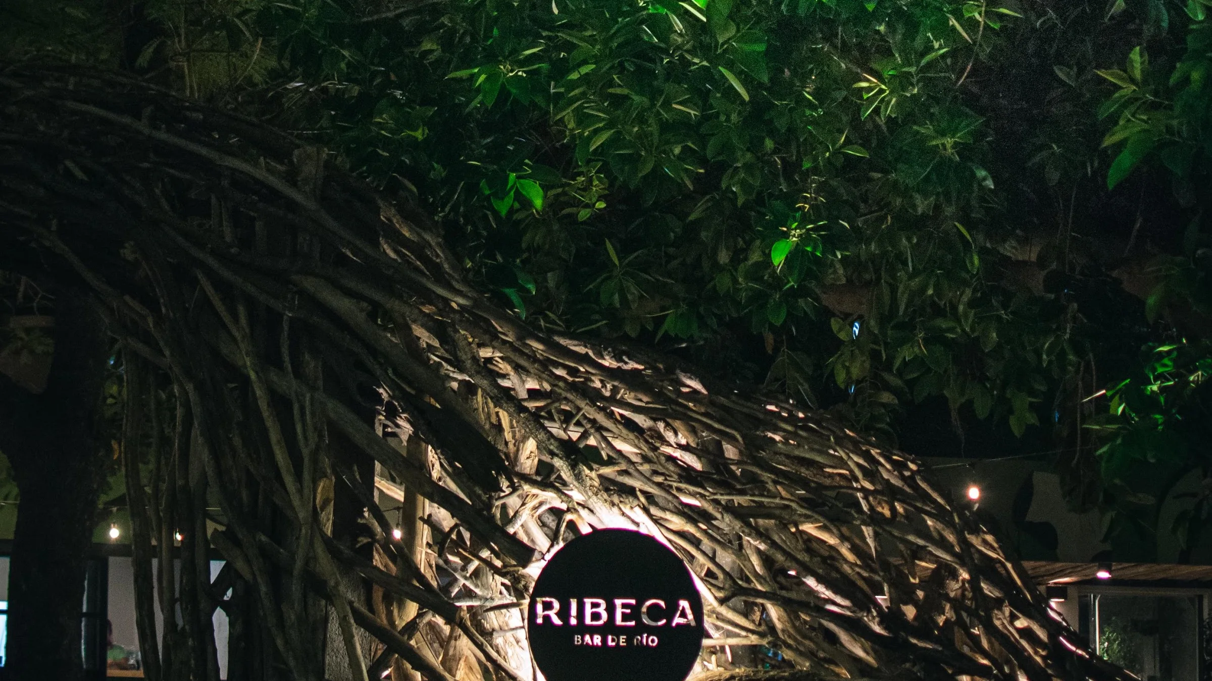 Estructura de ramas de Ribeca iluminada de noche entre los árboles